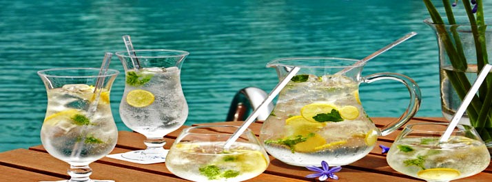 288/Optus Sarovar Premiere - Gurgaon 11.jpg